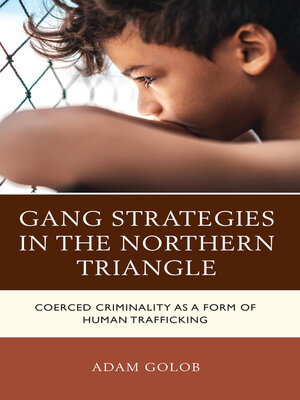 cover image of Gang Strategies in the Northern Triangle